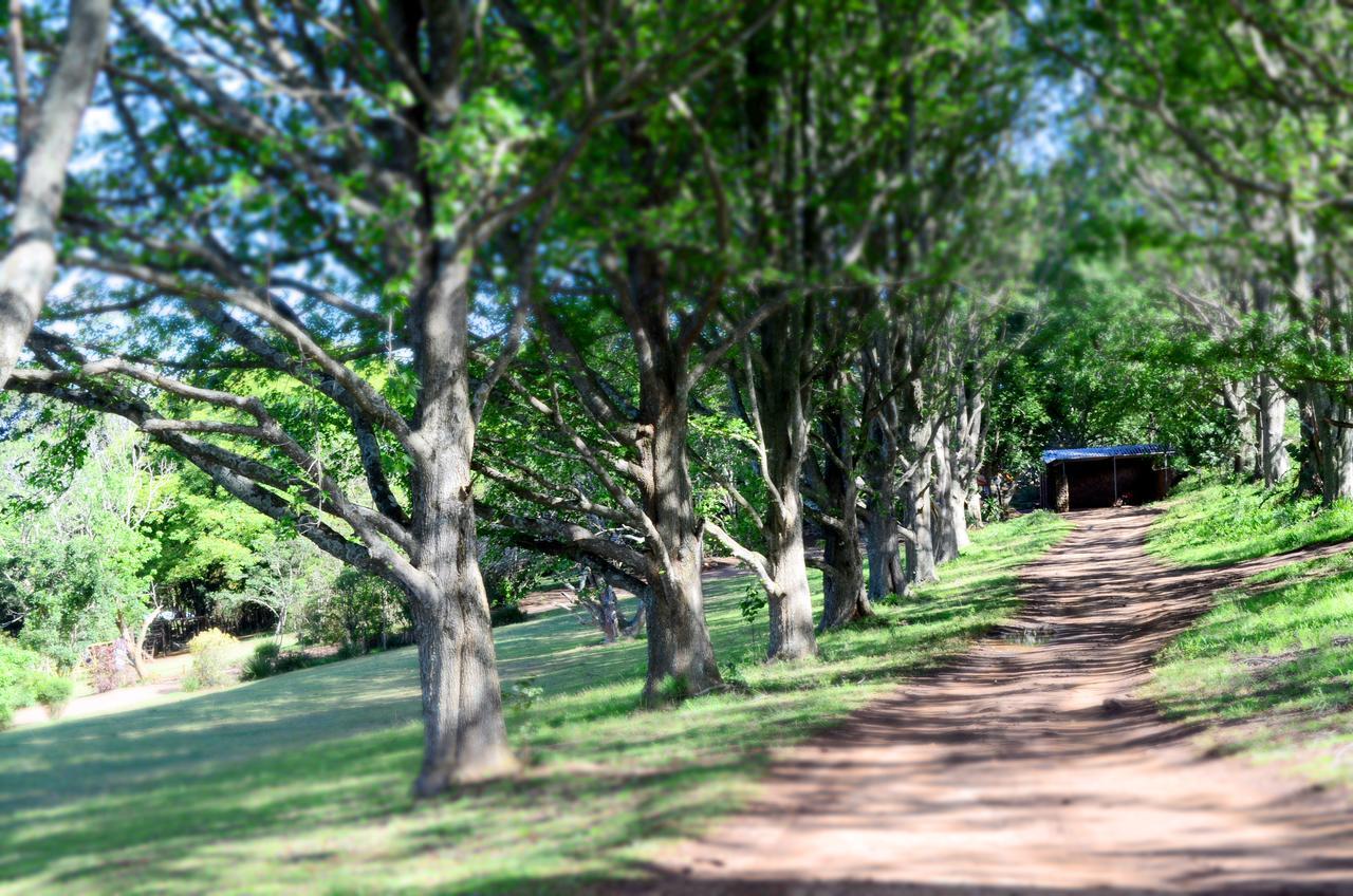 Phezulu Safari Park Villa Botha's Hill Exteriör bild