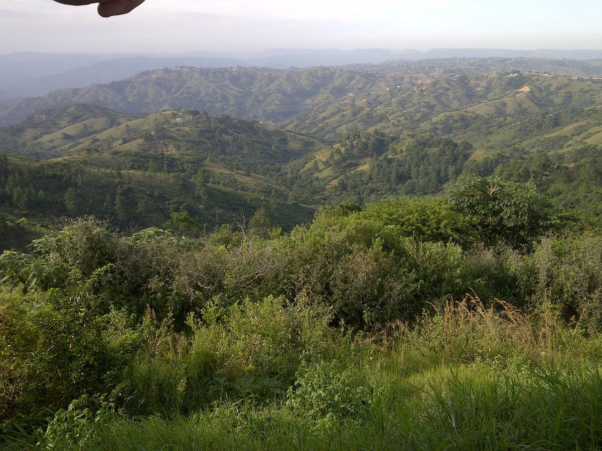 Phezulu Safari Park Villa Botha's Hill Exteriör bild