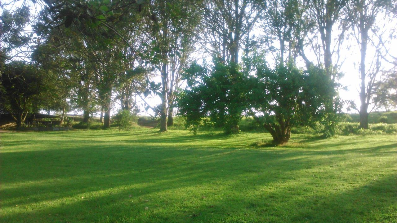 Phezulu Safari Park Villa Botha's Hill Exteriör bild